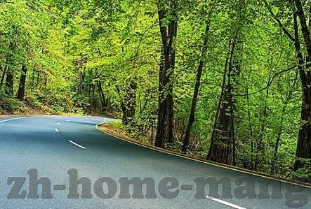 14巴西世界杯c罗进球集锦-14巴西世界杯C罗进球集锦，速度与激情的巅峰对决