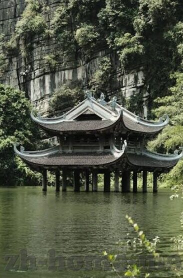 51炸金花-51炸金花，一场智慧与运气的博弈